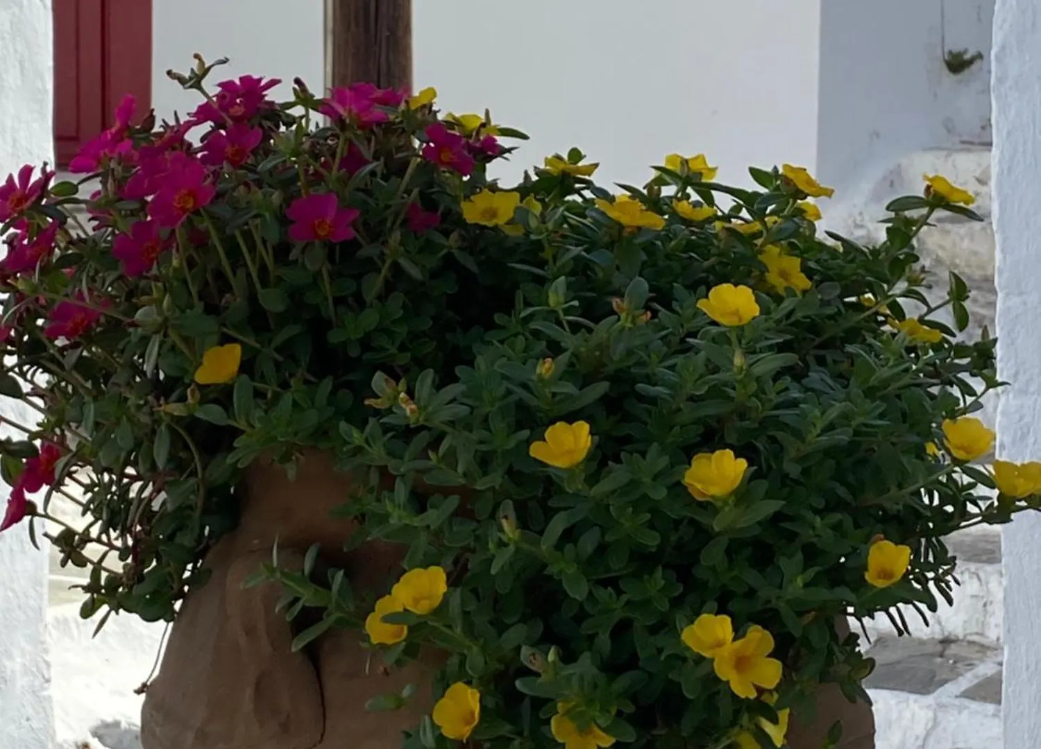 Maison d'hôtes Pensione Della Nonna Mykonos Town Grèce